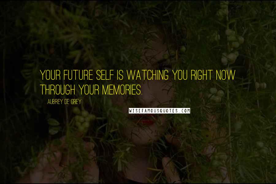 Aubrey De Grey Quotes: Your future self is watching you right now through your memories.