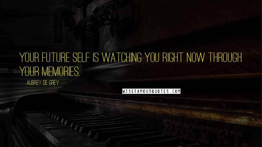 Aubrey De Grey Quotes: Your future self is watching you right now through your memories.