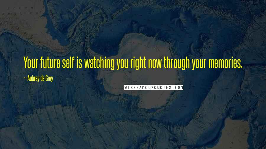 Aubrey De Grey Quotes: Your future self is watching you right now through your memories.