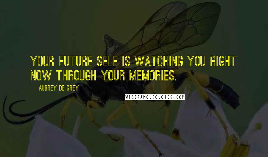Aubrey De Grey Quotes: Your future self is watching you right now through your memories.