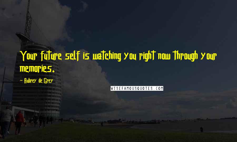 Aubrey De Grey Quotes: Your future self is watching you right now through your memories.