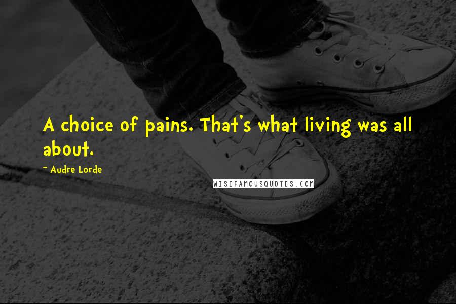 Audre Lorde Quotes: A choice of pains. That's what living was all about.