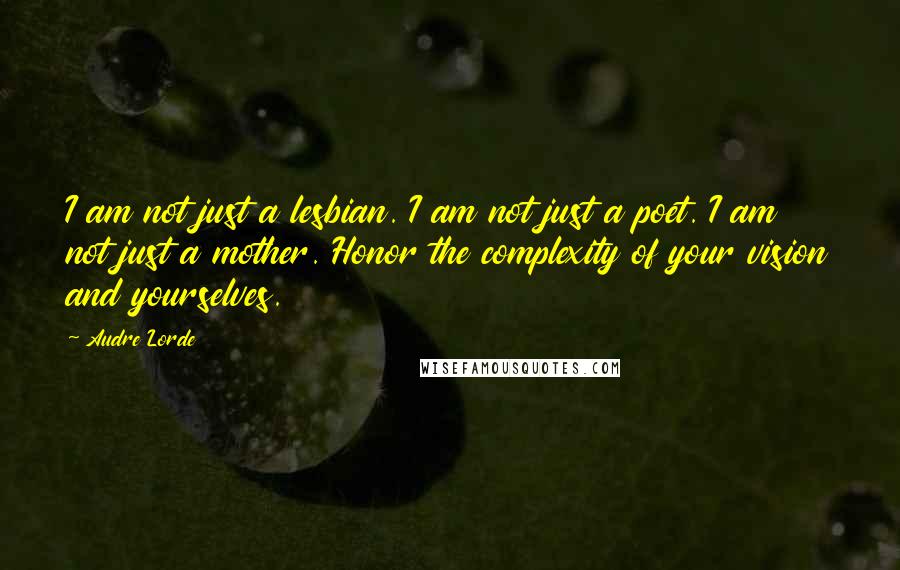 Audre Lorde Quotes: I am not just a lesbian. I am not just a poet. I am not just a mother. Honor the complexity of your vision and yourselves.