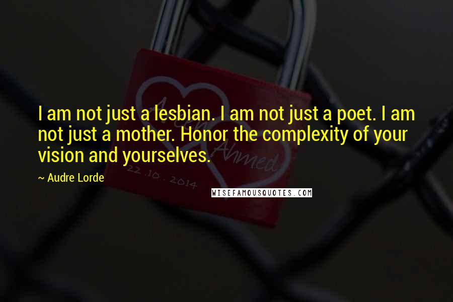 Audre Lorde Quotes: I am not just a lesbian. I am not just a poet. I am not just a mother. Honor the complexity of your vision and yourselves.