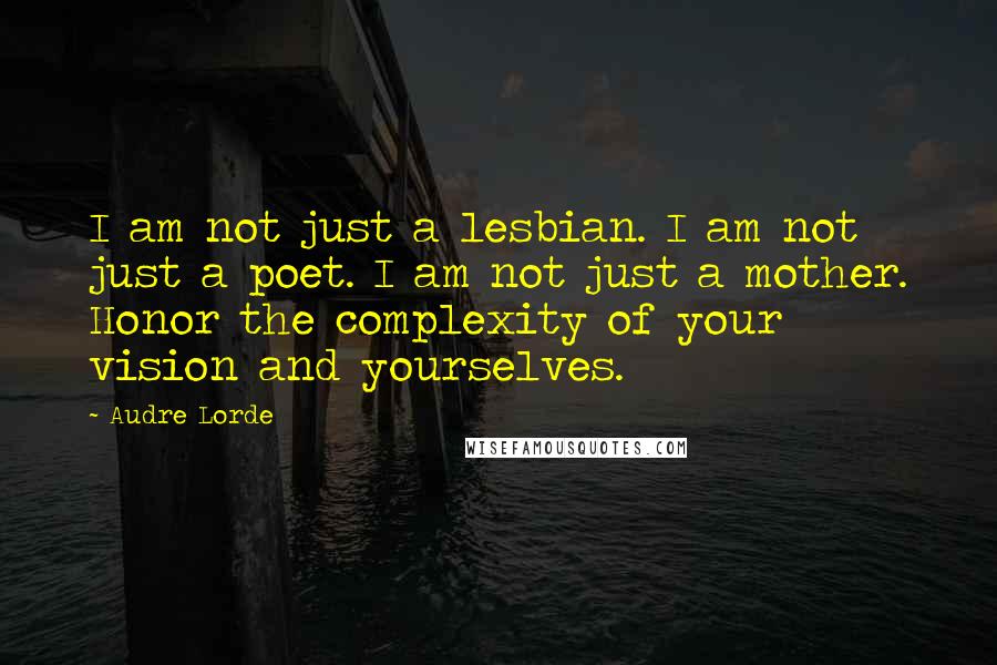 Audre Lorde Quotes: I am not just a lesbian. I am not just a poet. I am not just a mother. Honor the complexity of your vision and yourselves.