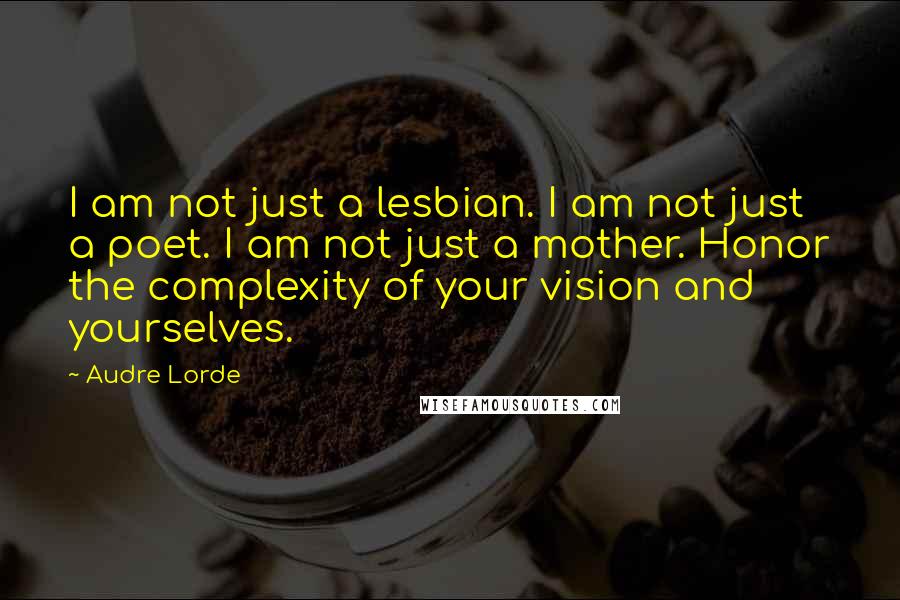 Audre Lorde Quotes: I am not just a lesbian. I am not just a poet. I am not just a mother. Honor the complexity of your vision and yourselves.