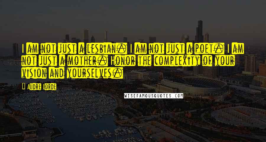 Audre Lorde Quotes: I am not just a lesbian. I am not just a poet. I am not just a mother. Honor the complexity of your vision and yourselves.