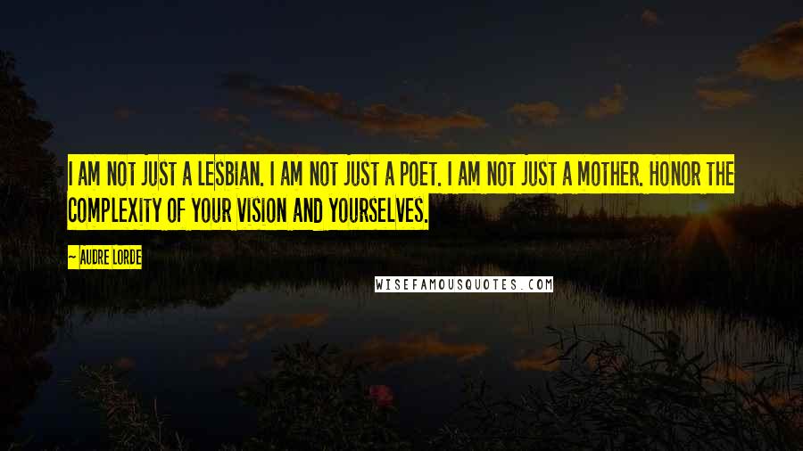 Audre Lorde Quotes: I am not just a lesbian. I am not just a poet. I am not just a mother. Honor the complexity of your vision and yourselves.