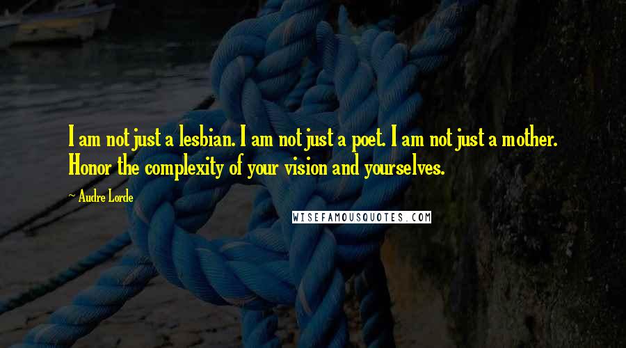 Audre Lorde Quotes: I am not just a lesbian. I am not just a poet. I am not just a mother. Honor the complexity of your vision and yourselves.