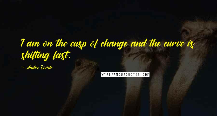 Audre Lorde Quotes: I am on the cusp of change and the curve is shifting fast.