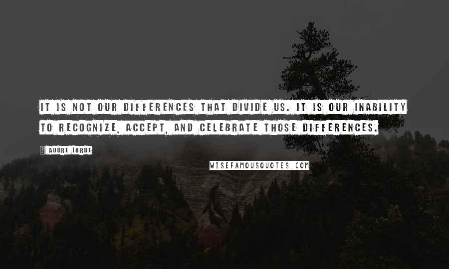 Audre Lorde Quotes: It is not our differences that divide us. It is our inability to recognize, accept, and celebrate those differences.