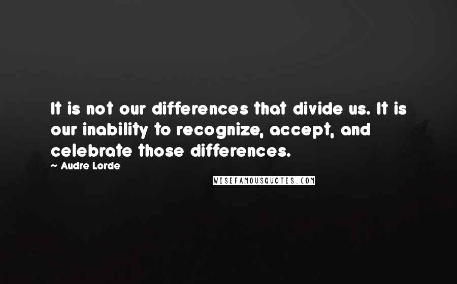 Audre Lorde Quotes: It is not our differences that divide us. It is our inability to recognize, accept, and celebrate those differences.