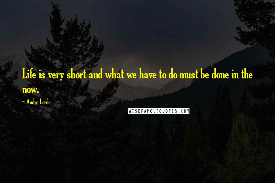 Audre Lorde Quotes: Life is very short and what we have to do must be done in the now.