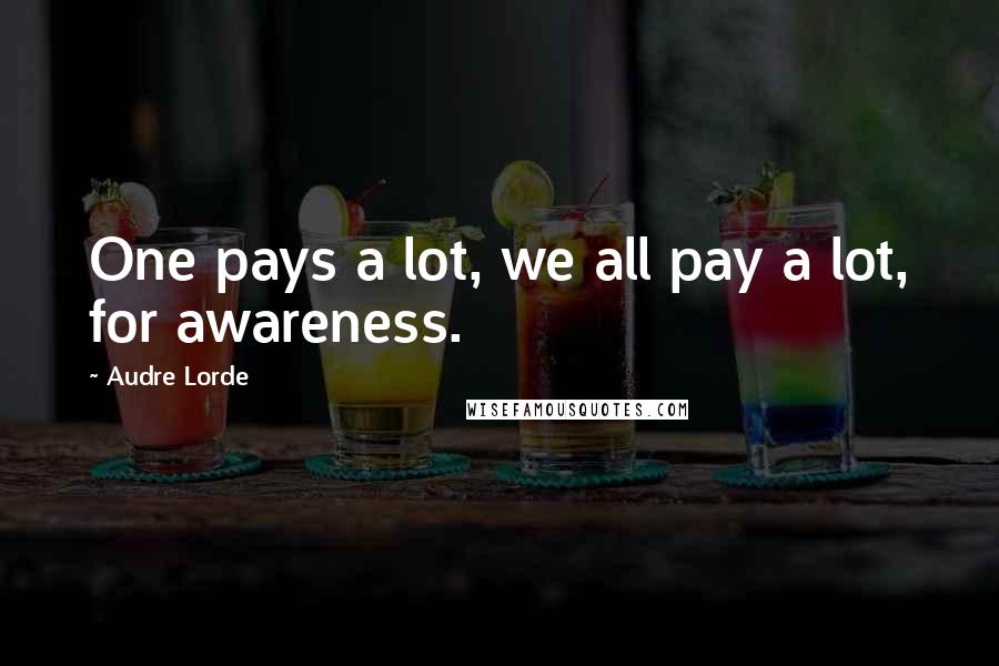 Audre Lorde Quotes: One pays a lot, we all pay a lot, for awareness.