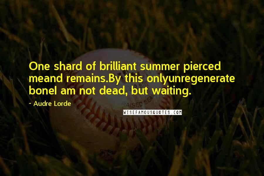 Audre Lorde Quotes: One shard of brilliant summer pierced meand remains.By this onlyunregenerate boneI am not dead, but waiting.