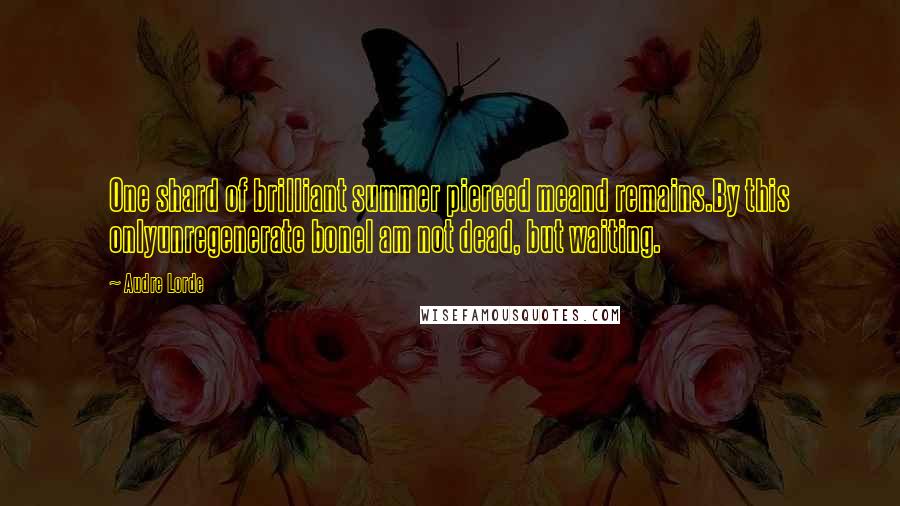 Audre Lorde Quotes: One shard of brilliant summer pierced meand remains.By this onlyunregenerate boneI am not dead, but waiting.