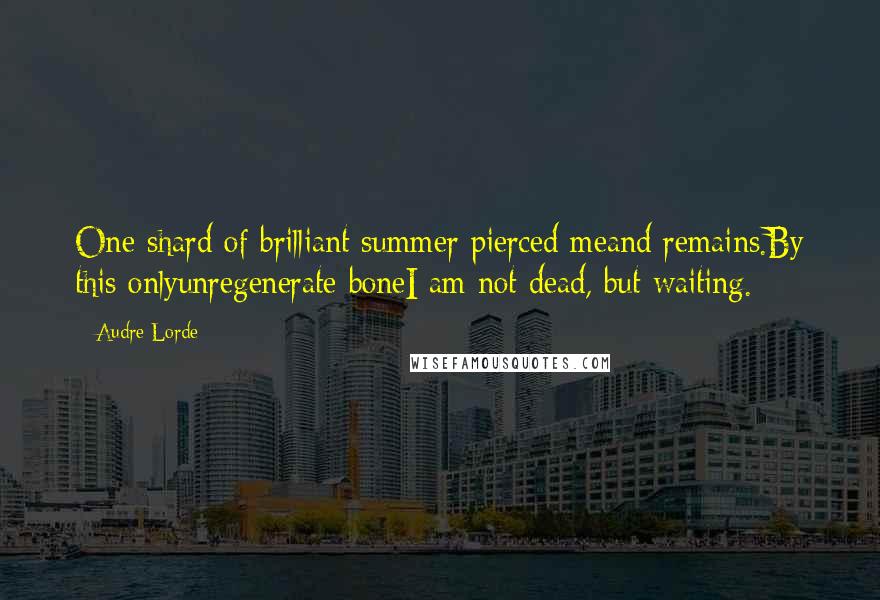 Audre Lorde Quotes: One shard of brilliant summer pierced meand remains.By this onlyunregenerate boneI am not dead, but waiting.