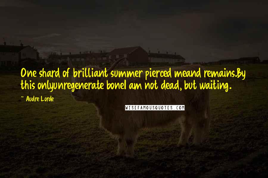 Audre Lorde Quotes: One shard of brilliant summer pierced meand remains.By this onlyunregenerate boneI am not dead, but waiting.