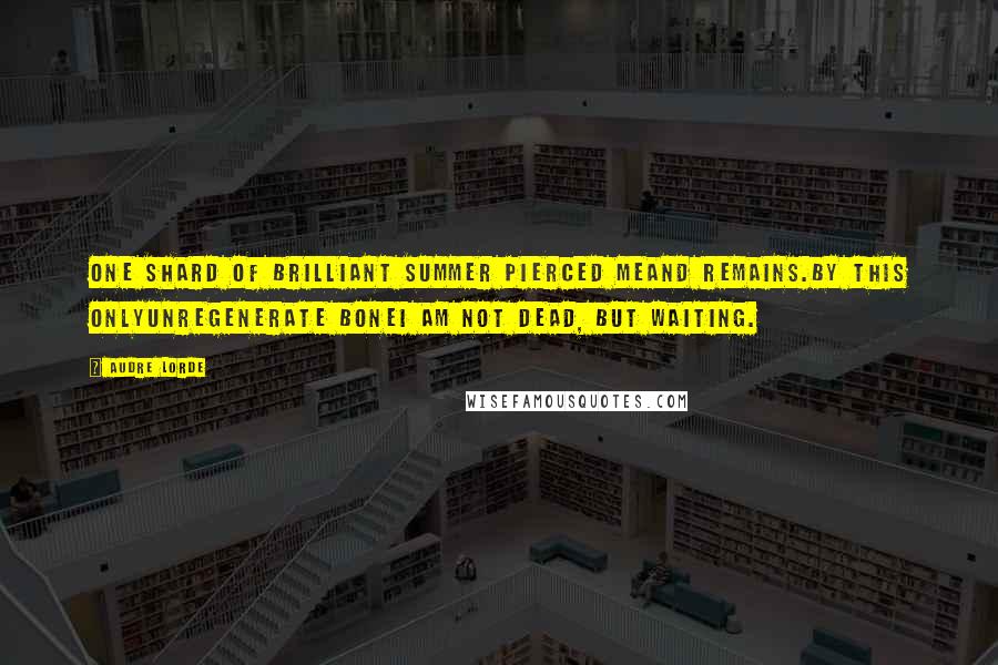 Audre Lorde Quotes: One shard of brilliant summer pierced meand remains.By this onlyunregenerate boneI am not dead, but waiting.