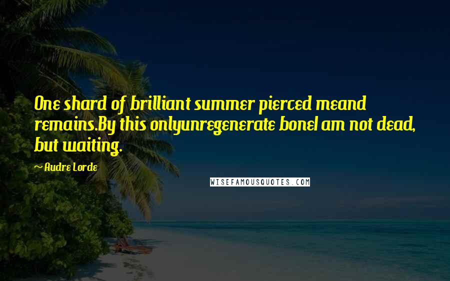 Audre Lorde Quotes: One shard of brilliant summer pierced meand remains.By this onlyunregenerate boneI am not dead, but waiting.