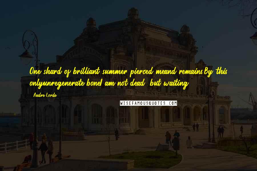 Audre Lorde Quotes: One shard of brilliant summer pierced meand remains.By this onlyunregenerate boneI am not dead, but waiting.