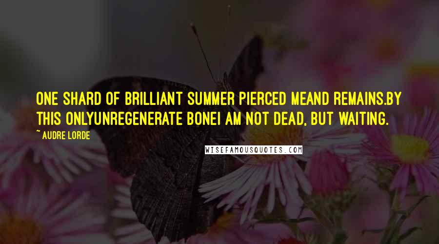 Audre Lorde Quotes: One shard of brilliant summer pierced meand remains.By this onlyunregenerate boneI am not dead, but waiting.