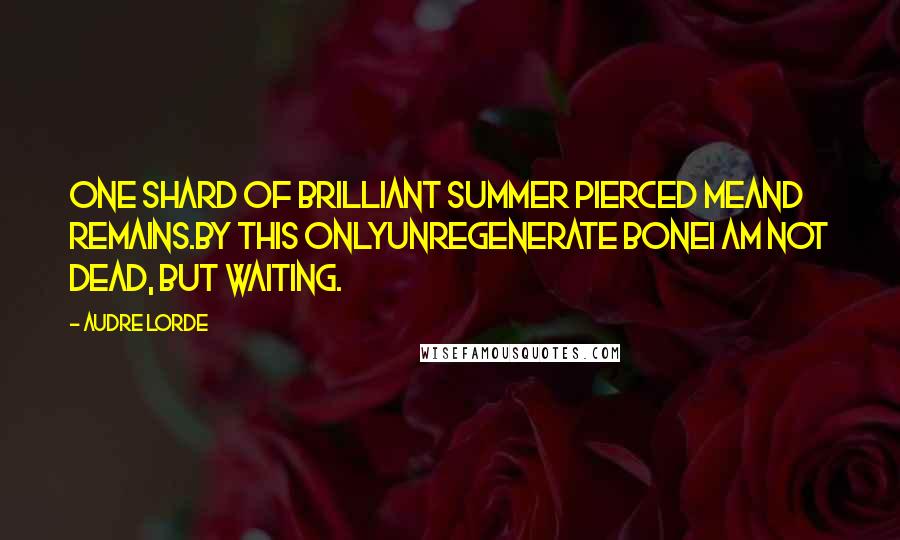 Audre Lorde Quotes: One shard of brilliant summer pierced meand remains.By this onlyunregenerate boneI am not dead, but waiting.