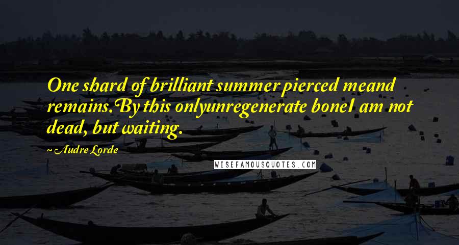 Audre Lorde Quotes: One shard of brilliant summer pierced meand remains.By this onlyunregenerate boneI am not dead, but waiting.