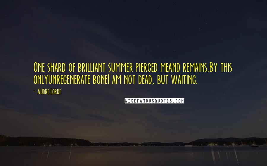 Audre Lorde Quotes: One shard of brilliant summer pierced meand remains.By this onlyunregenerate boneI am not dead, but waiting.