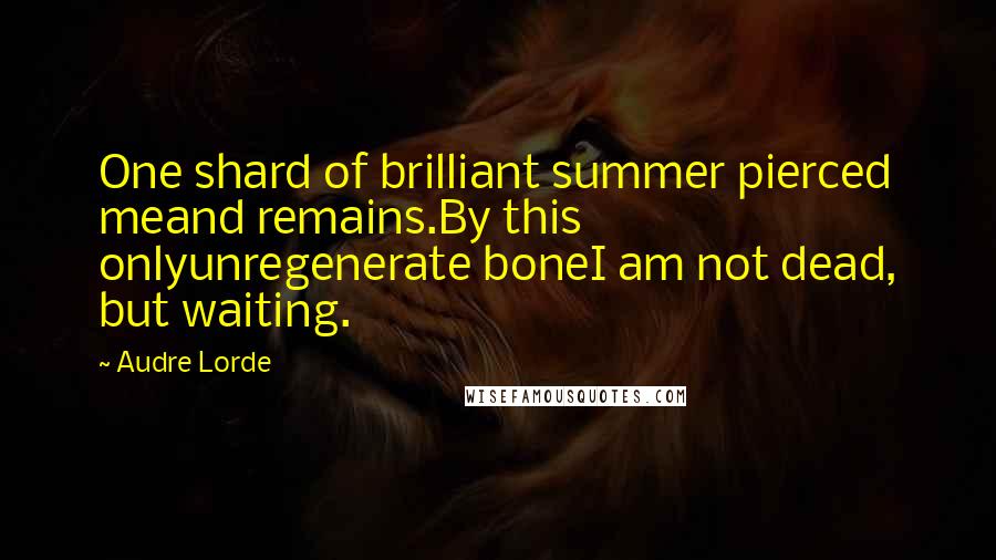 Audre Lorde Quotes: One shard of brilliant summer pierced meand remains.By this onlyunregenerate boneI am not dead, but waiting.