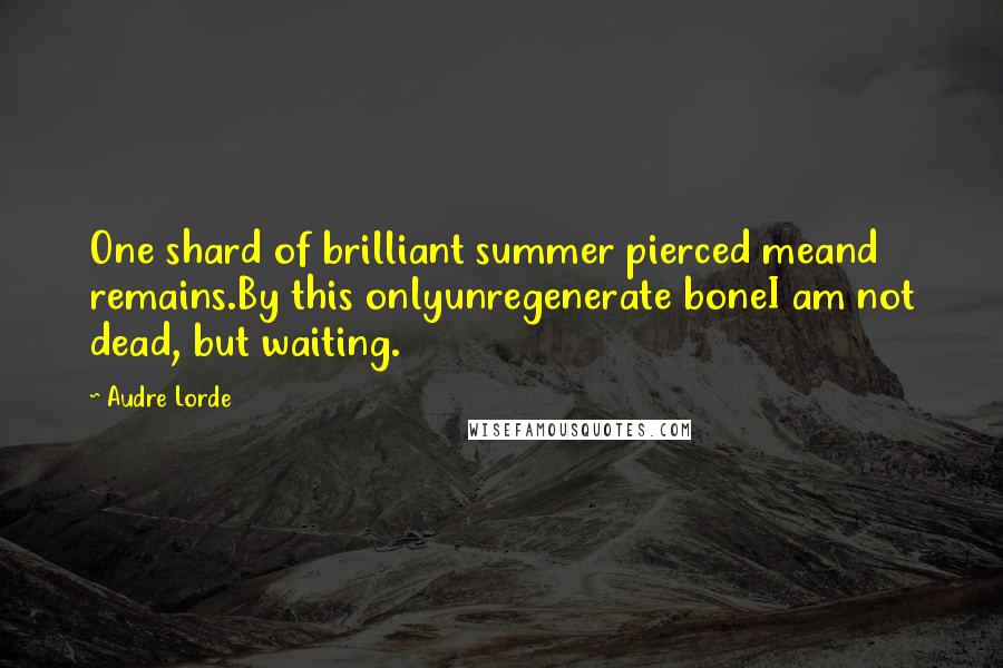 Audre Lorde Quotes: One shard of brilliant summer pierced meand remains.By this onlyunregenerate boneI am not dead, but waiting.