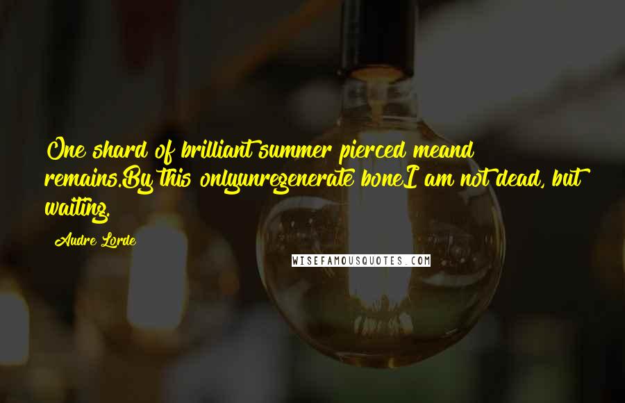 Audre Lorde Quotes: One shard of brilliant summer pierced meand remains.By this onlyunregenerate boneI am not dead, but waiting.