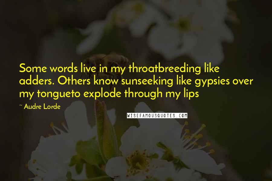 Audre Lorde Quotes: Some words live in my throatbreeding like adders. Others know sunseeking like gypsies over my tongueto explode through my lips
