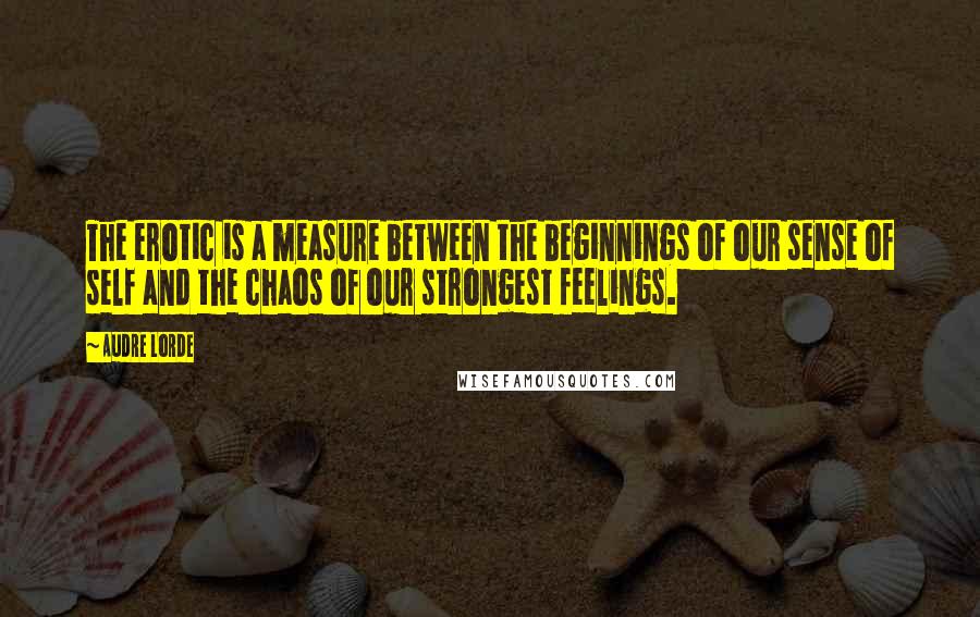 Audre Lorde Quotes: The erotic is a measure between the beginnings of our sense of self and the chaos of our strongest feelings.