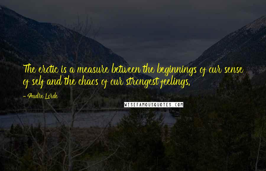 Audre Lorde Quotes: The erotic is a measure between the beginnings of our sense of self and the chaos of our strongest feelings.