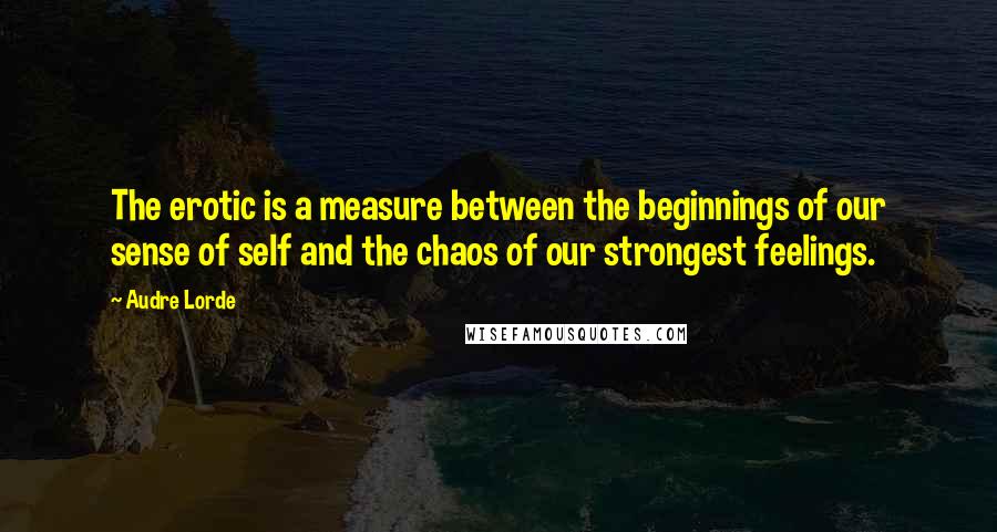 Audre Lorde Quotes: The erotic is a measure between the beginnings of our sense of self and the chaos of our strongest feelings.