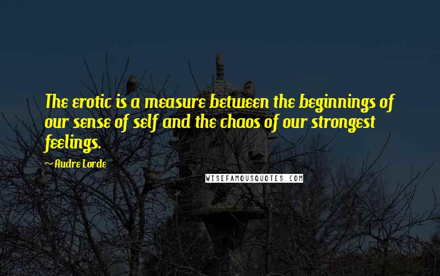 Audre Lorde Quotes: The erotic is a measure between the beginnings of our sense of self and the chaos of our strongest feelings.