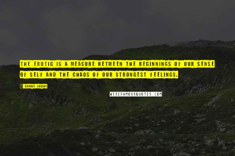 Audre Lorde Quotes: The erotic is a measure between the beginnings of our sense of self and the chaos of our strongest feelings.