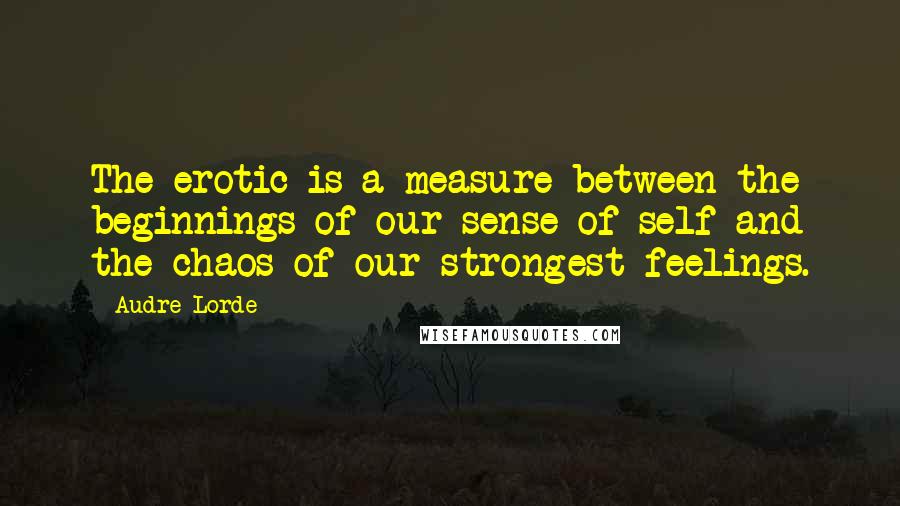 Audre Lorde Quotes: The erotic is a measure between the beginnings of our sense of self and the chaos of our strongest feelings.