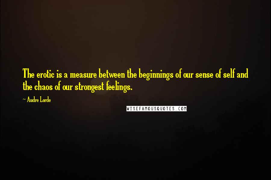 Audre Lorde Quotes: The erotic is a measure between the beginnings of our sense of self and the chaos of our strongest feelings.