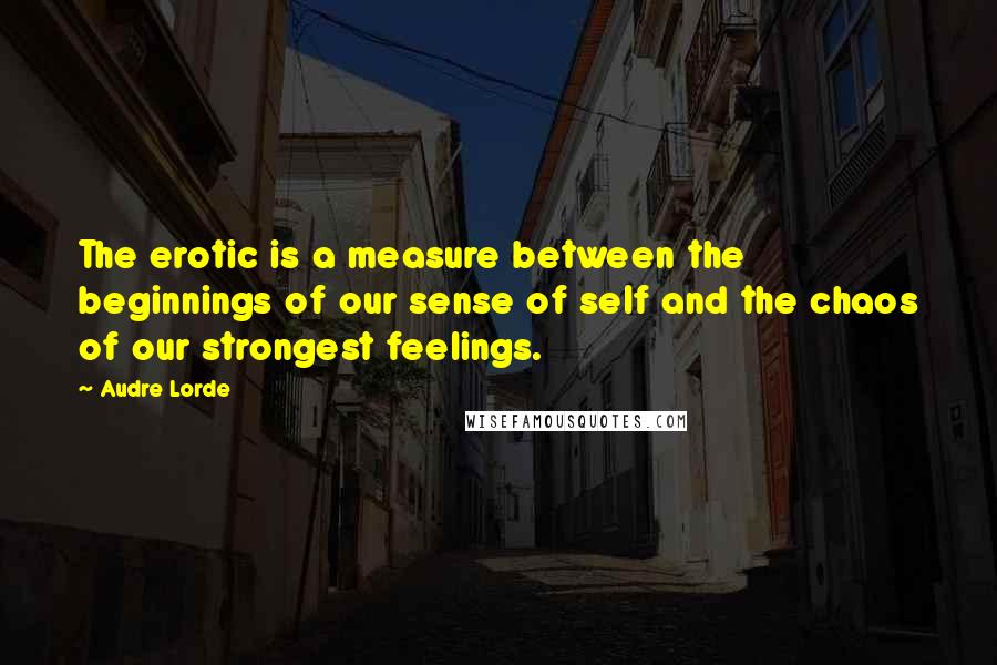 Audre Lorde Quotes: The erotic is a measure between the beginnings of our sense of self and the chaos of our strongest feelings.