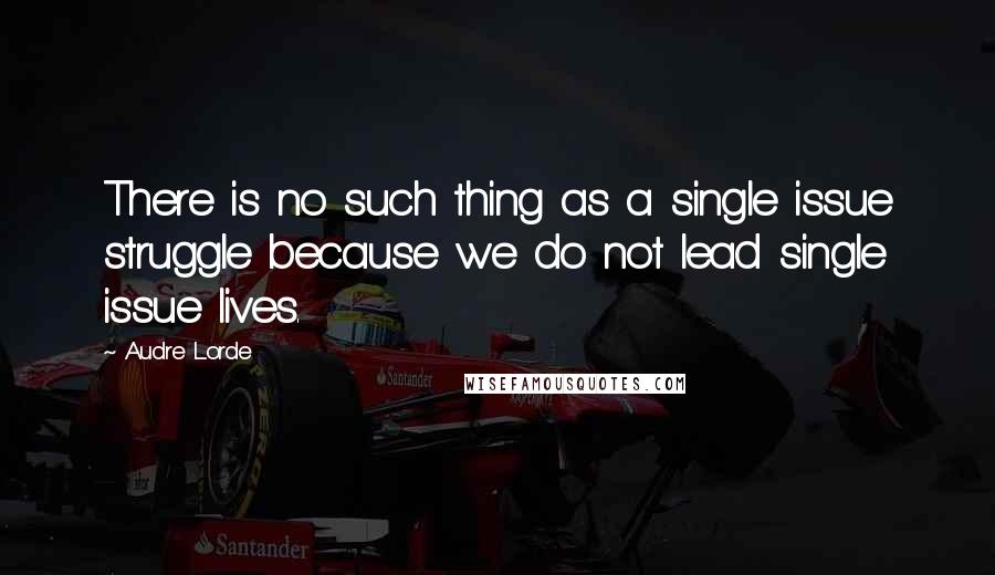 Audre Lorde Quotes: There is no such thing as a single issue struggle because we do not lead single issue lives.