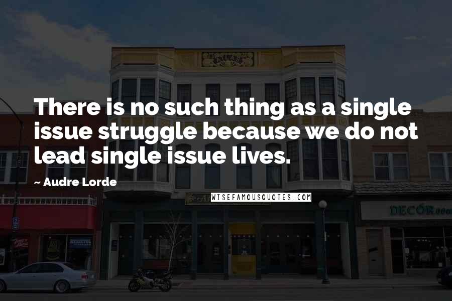 Audre Lorde Quotes: There is no such thing as a single issue struggle because we do not lead single issue lives.