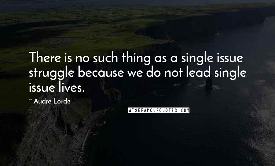 Audre Lorde Quotes: There is no such thing as a single issue struggle because we do not lead single issue lives.
