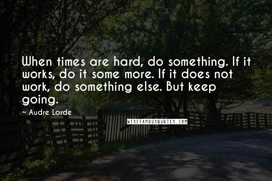 Audre Lorde Quotes: When times are hard, do something. If it works, do it some more. If it does not work, do something else. But keep going.