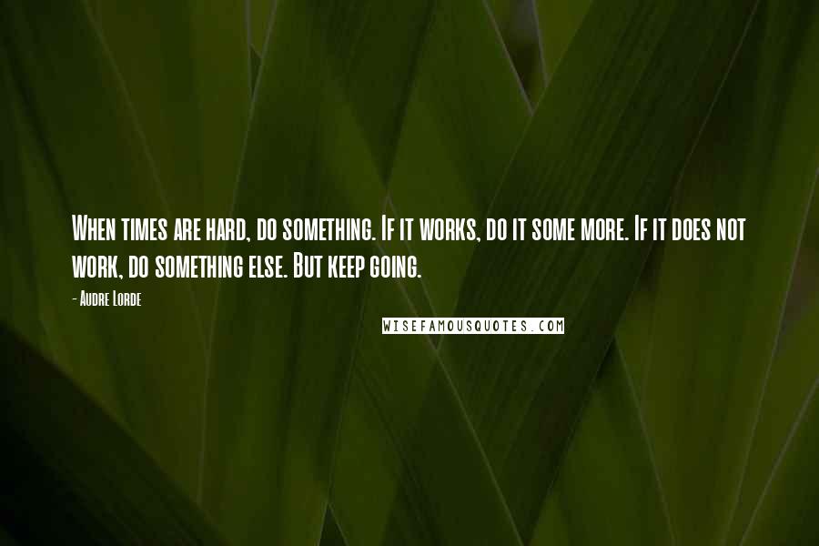 Audre Lorde Quotes: When times are hard, do something. If it works, do it some more. If it does not work, do something else. But keep going.