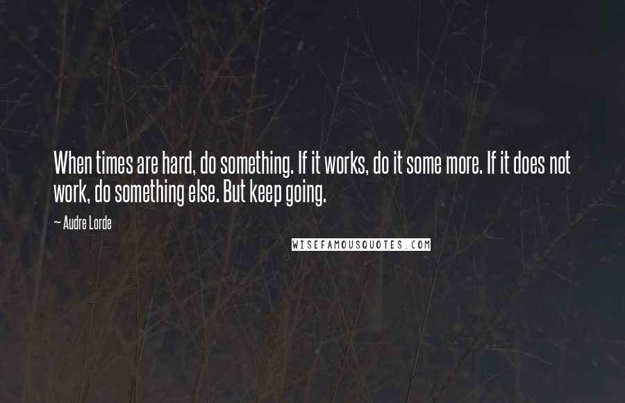 Audre Lorde Quotes: When times are hard, do something. If it works, do it some more. If it does not work, do something else. But keep going.