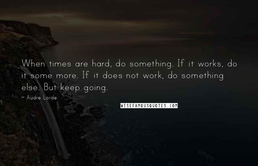 Audre Lorde Quotes: When times are hard, do something. If it works, do it some more. If it does not work, do something else. But keep going.