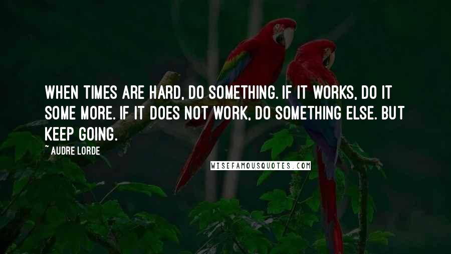 Audre Lorde Quotes: When times are hard, do something. If it works, do it some more. If it does not work, do something else. But keep going.