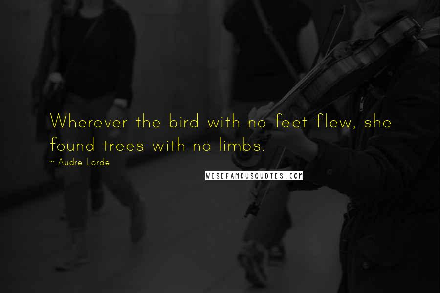 Audre Lorde Quotes: Wherever the bird with no feet flew, she found trees with no limbs.